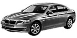 BMW F10 P20F5 Fault Code